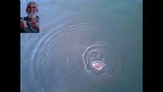 Dave, Henry and Girl catching Flaties and stingray on Newcastle Harbour. Bait; pillies, hardbodies.