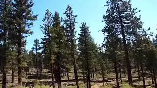 The adventurous couple ft. The Sierras