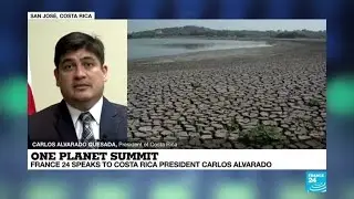 France hosts One Planet Summit aimed at protecting global biodiversity