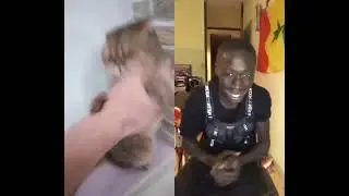 TiKTOK FLOW: TikTok Best compilation #7 #khabylame #shorts