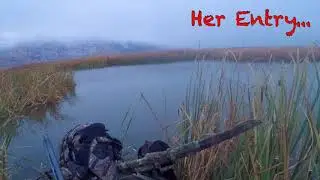 Running Solo | Utah Public Land Duck Hunt