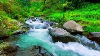 Pure River Sounds for Instant Calm | Natural Water Ambience for Deep Sleep & Meditation