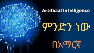 Top 5 AI(Artificial Intelligence) in the world #2021 AI ምንድን ነው በአማርኛ || The meaning of AI