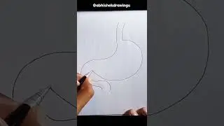 how to Draw stomach diagram #abhishekdrawing #diagram