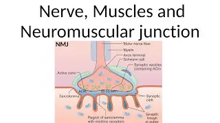 Nerve muscle physiology Part 1| Live discussion | NEET PG/FMGE |Caduceusly Yours