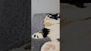 rug Cat😻 final result tufting ‼️#rug #cat #tufting #foryourpage