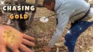 The VIC bushfires push me to new GOLD!@ChasingGoldAustralia 