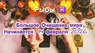 Рыбы ♓️ таро и астро прогноз с 9 по 15 февраля 2026 года 