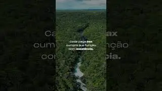 Conhe&ccedil;a a eleg&acirc;ncia atemporal inspirada nas &aacute;guas do rio Havel.