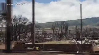 Honolulu residents accused of filing fraudulent claims for Lahaina, Los Angeles fire disasters