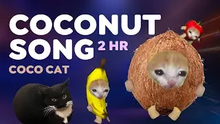 COCONUT SONG 🥥🐱 (2 HOURS) #coconut  #bananacat #maxwellcat #funny