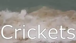 Top 10 Most Popular sound effects which YouTubers are use