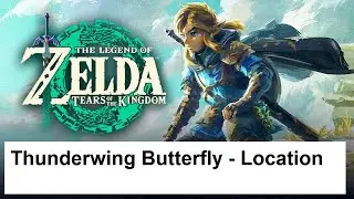 The Legend of Zelda Tears of the Kingdom - Thunderwing Butterfly - Location