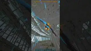 Owl Diving Past Their Wall! [INX] #arkpvp #arksurvivalevolved #shorts