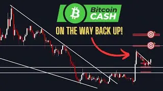 Bitcoin Cash (BCH) Price Analysis - On the way back up! Here's how I would play it..