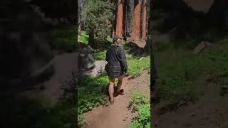 Nature and beauty person walking in the forest