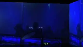 BamBam  &  PEPPels @ HARD BOCK DRAUF | TANZHAUS WEST - FRANKFURT | 20.12.2019
