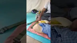 #baba#amarnath#yatra#2023#rt tent#holicave#