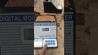 Wheat Digital Moisture Meter DMM3