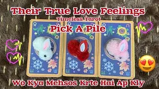 Pick A Pile 😘 Their True Love Feelings 😘 Channel Messages 😻Hindi Urdu Timeless Tarot 
