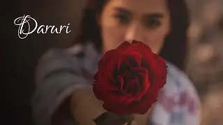 Daruri - O melodie despre puterea de a oferi in dar iubire neconditionata