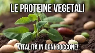 Le Proteine Vegetali: La Guida Completa per una Nutrizione Ottimale! Salute, Benessere e Vitalit&agrave;!