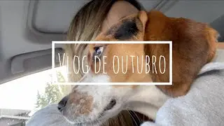VLOG do m&ecirc;s MORANDO no Canad&aacute;