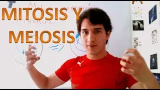 Mitosis y meiosis. Nivel experto EN 4 MINUTOS