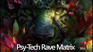 Psy Tech Rave Matrix Vol  1