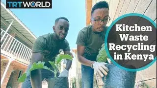 Recycling firm uses kitchen waste for better harvests