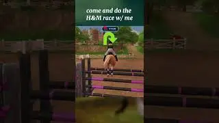 the new H&M race #horse #sso #starstable #starstableonline #h&m