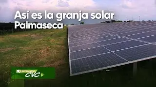 As&iacute; es la Granja Solar Palmaseca