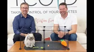 Our Review of Tandem's Control-IQ