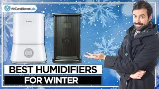 7 Best Humidifiers For Winter