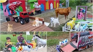 AMAZING 🐄 🐮 SIMULASI WADIDAU 3‼️PROSES POTONG SAPI MOO KURBAN IDUL ADHA