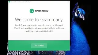 How to get GRAMMARLY Plugin for Microsoft Word and Outlook.