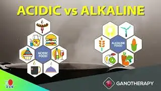 Difference between Acidic and Alkaline food