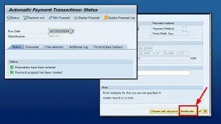 SAP: Analyse Automatic Payment Program F110 Errors #learnsap