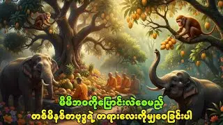 မိမိဘဝကိုပြောင်းလဲစေမည့် တစ်မိနစ်စာဗုဒ္ဓရဲ့ တရားလေးကိုမျှဝေခြင်းပါ🙏🙏🙏