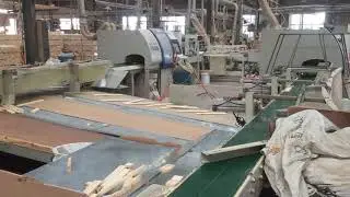 Fully automatic wood sorting system 2