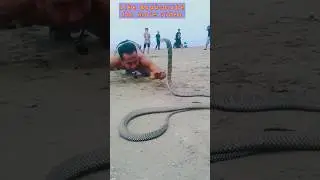 playing with a snake very risky mage#shortvideo #foryou #viralvideo #tranding #love #ytshorts #facts