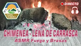 🔴🎧 ASMR Fuego Relajante en Chimenea | Madera de carrasca, crepitar del fuego | Cozy Ambience