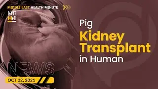 Docplexus Middle East Health Minute Episode 46