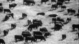 Richard Laviolette & The Hollow Hooves - 