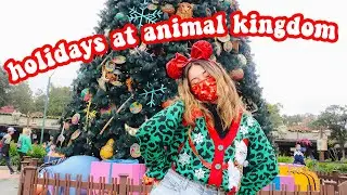 holidays at animal kingdom (+ a special cast member event!) 💚