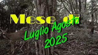 Sesta Puntata Luglio Agosto 2025 -  Sixth Episode July August 2025
