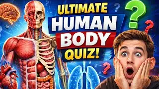 Ultimate Human Body Quiz 🧠💪 | Test Your Knowledge Now!