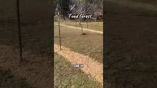 Outdoor sowing and planting has started! #farming #veganfeed #foodforest #vegan
