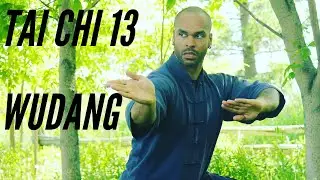 Taichi 13 Wudang Style