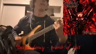 DESPONDENCY - Womb Of Shit (GUITAR COVER)